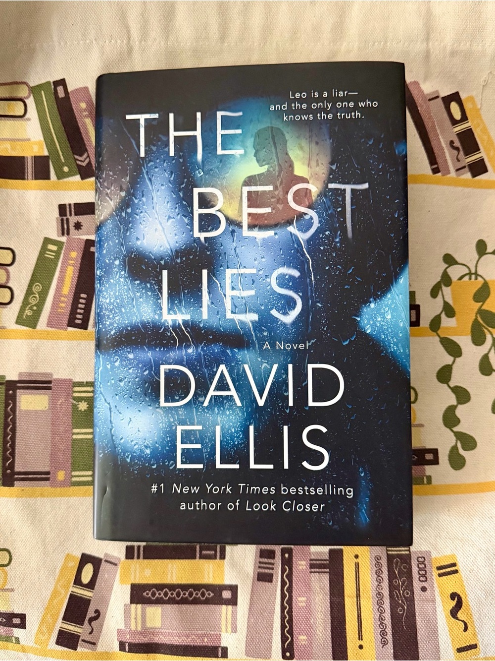 The Best Lies Hardcover 1st Print 2024 Twisty Thriller